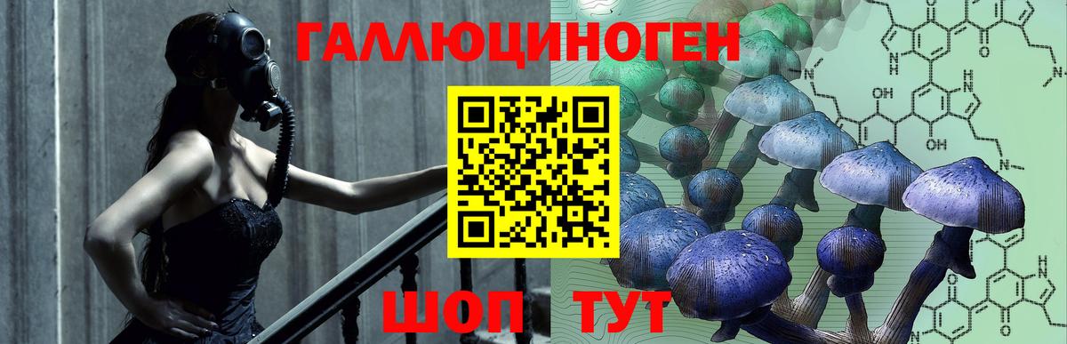 наркотики  Галлюциногенные грибы Psilocybe  Галлюциногенные грибы мицелий  Вход с VPN  Соль-Илецк 