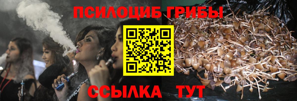 Псилоцибиновые грибы ЛСД Соль-Илецк